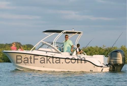 Edgewater 245CX recensioner och tekniska specifikationer